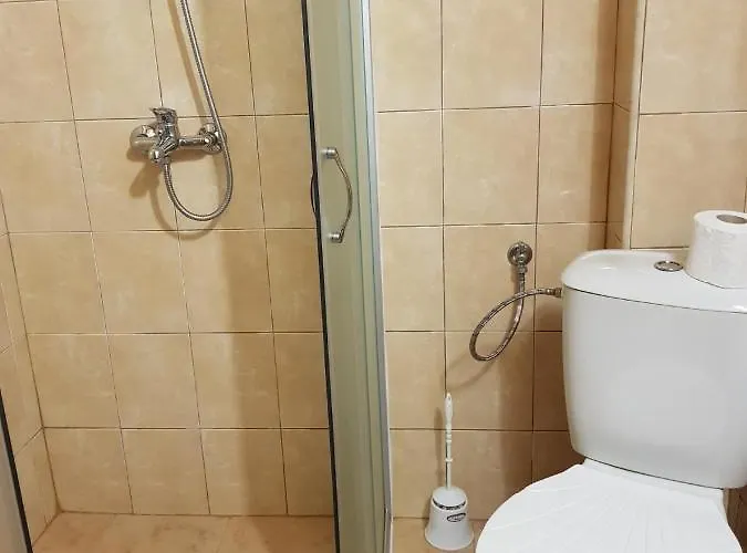 Διαμέρισμα Todorini Kuli *